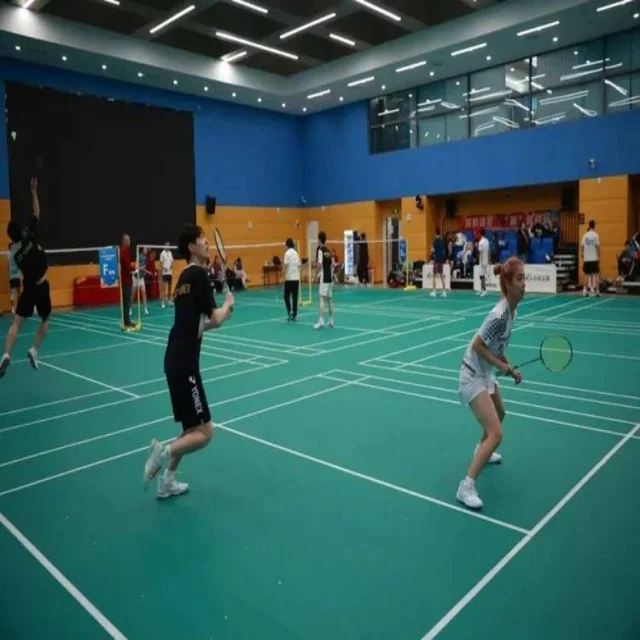 张雨霏复出首秀:深度观察与解析